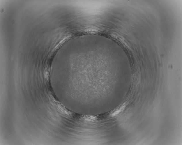 X0000087020576200704301317