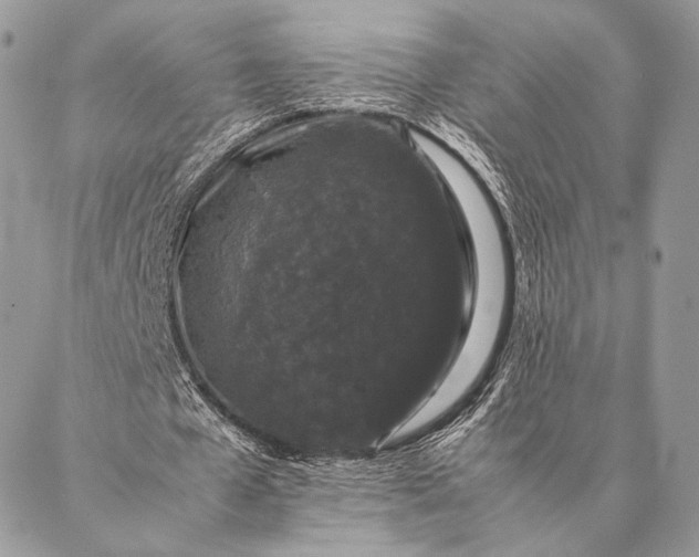 X0000087020577200704301316