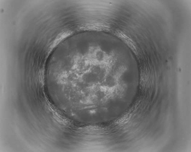 X0000087020578200704301316