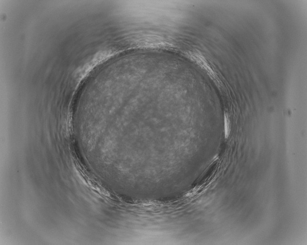 X0000087020579200704301316