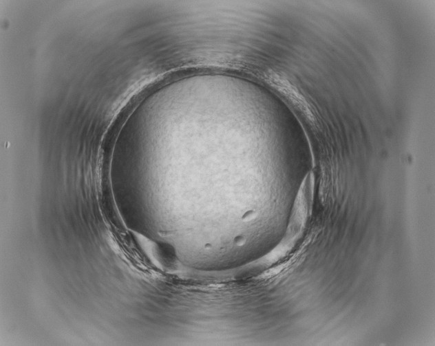 X0000087020580200704301316