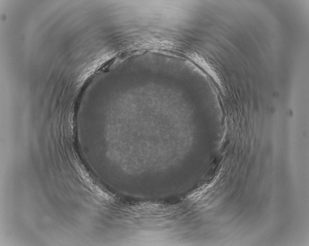 X0000087020581200704301316