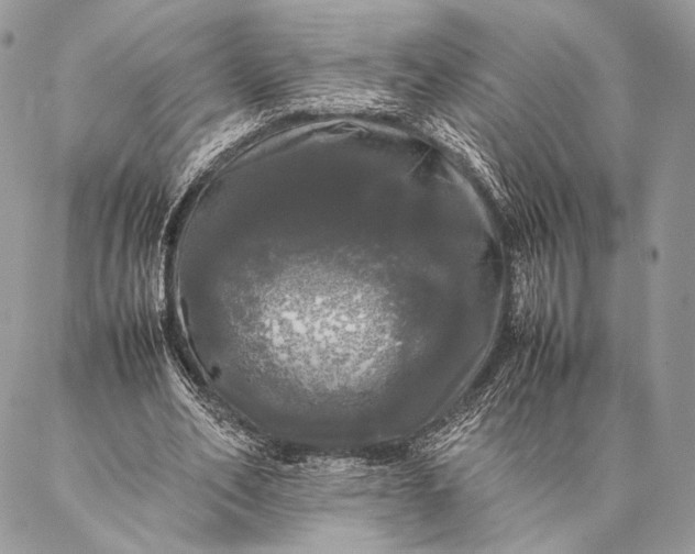 X0000087020582200704301316