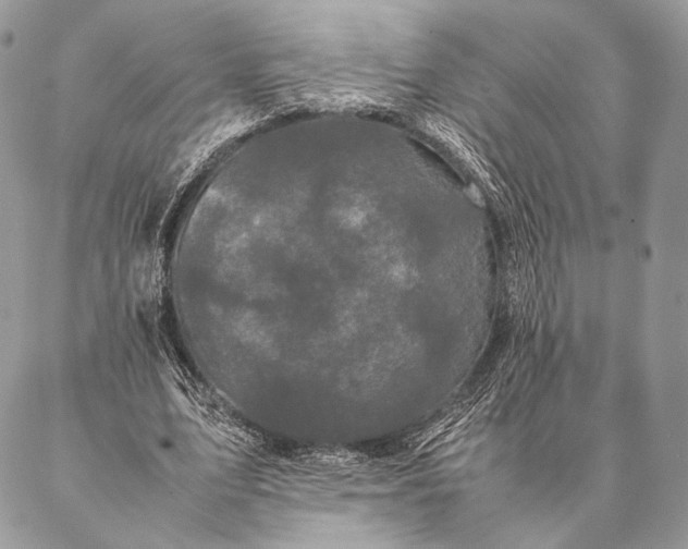 X0000087020583200704301316