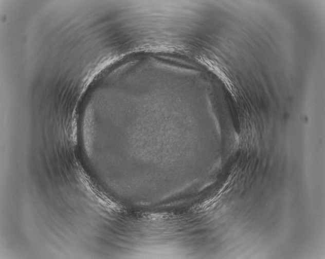 X0000087020584200704301316