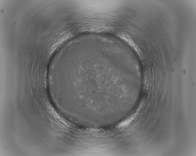 X0000087020585200704301316