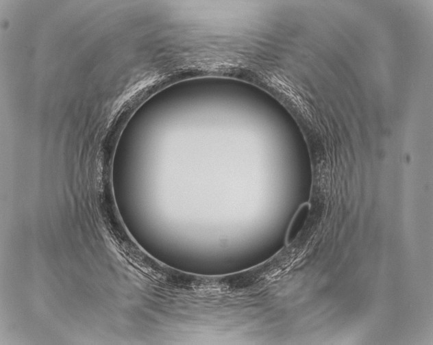 X0000087020587200704301316