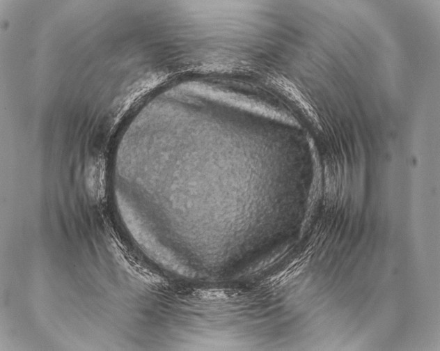 X0000087020588200704301316