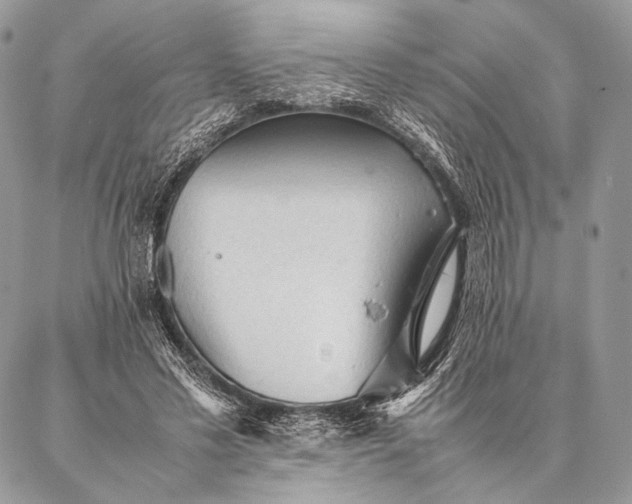 X0000087020589200704301316