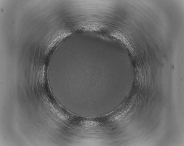 X0000087020590200704301316