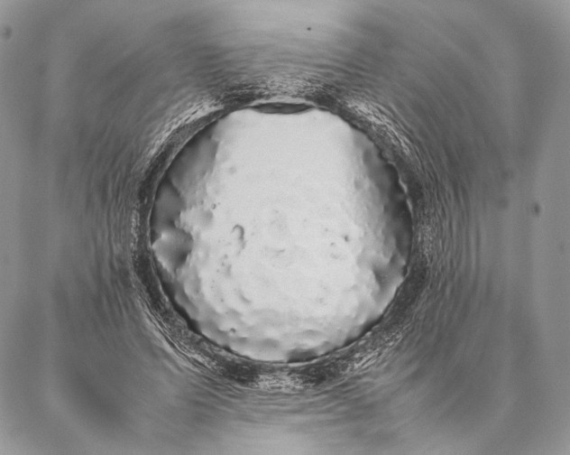 X0000087020591200704301316