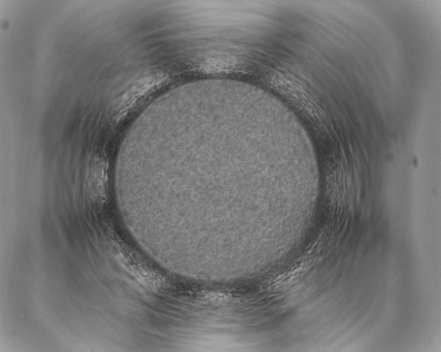 X0000087020592200704301316