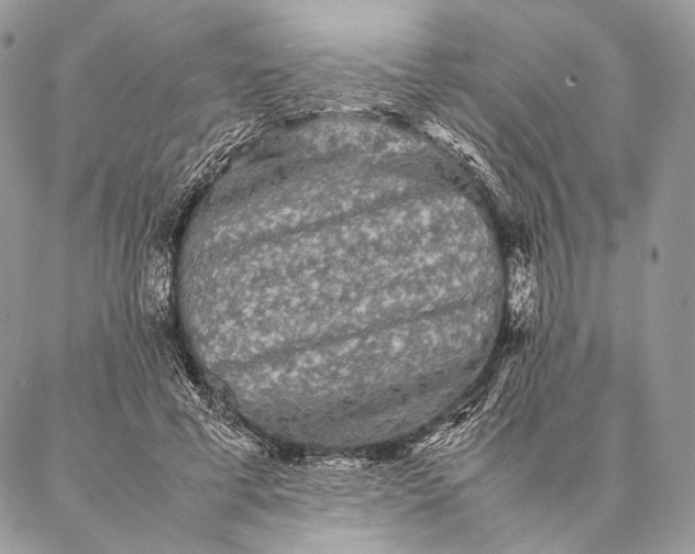 X0000087020593200704301316