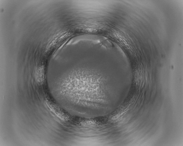 X0000087020594200704301316