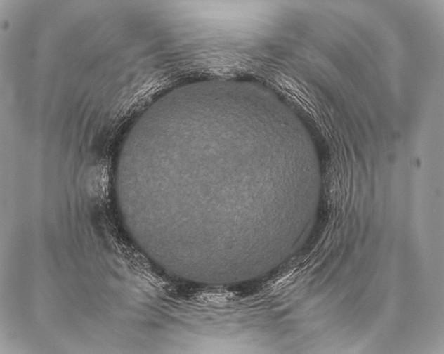 X0000087020595200704301316