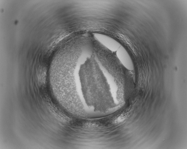 X0000087020596200704301316