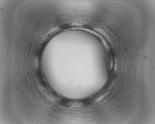 X0000087020597200704301316