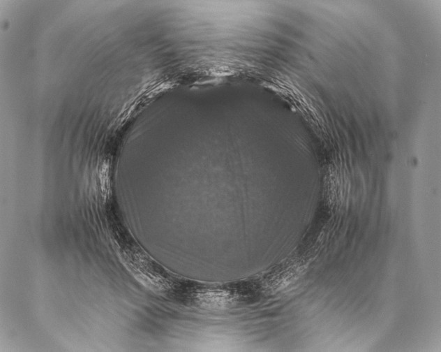 X0000087020598200704301316