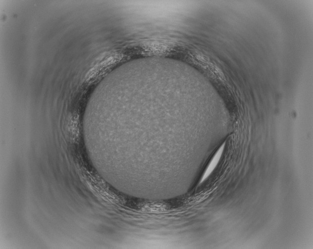 X0000087020599200704301316