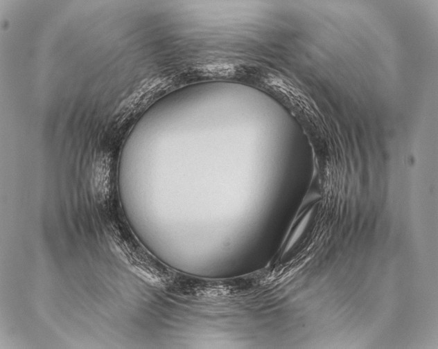 X0000087020600200704301316