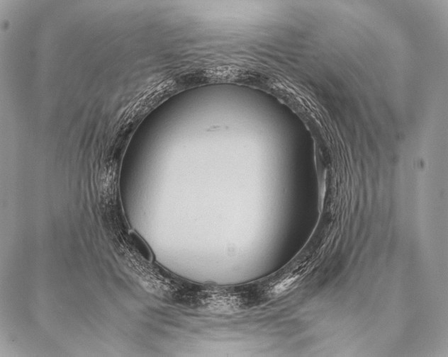 X0000087020601200704301316