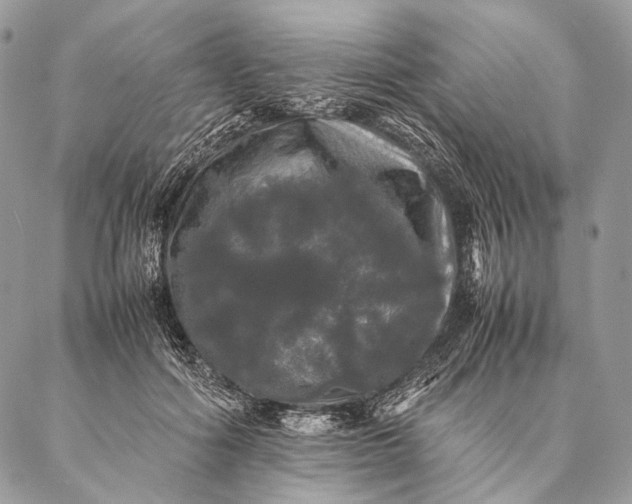 X0000087020602200704301316