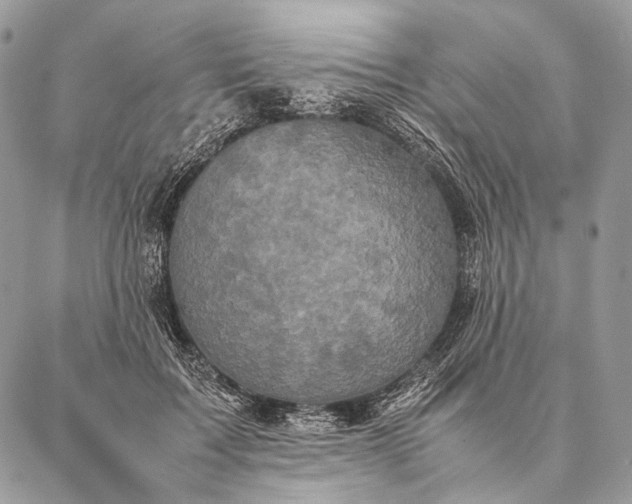 X0000087020603200704301316