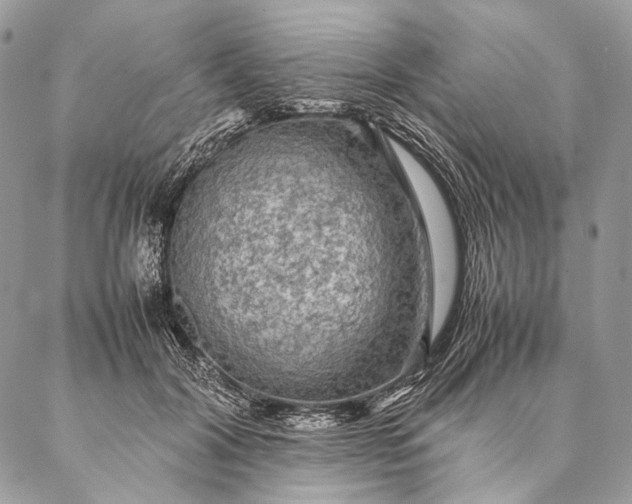 X0000087020604200704301316