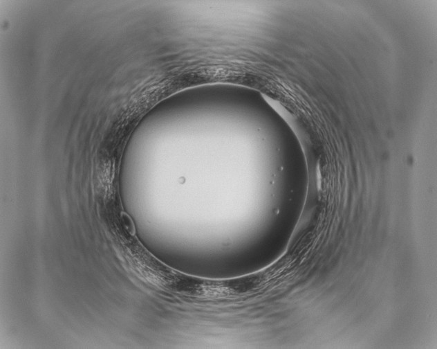 X0000087020605200704301316