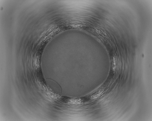 X0000087020606200704301316