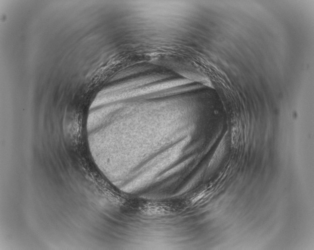 X0000087020608200704301316