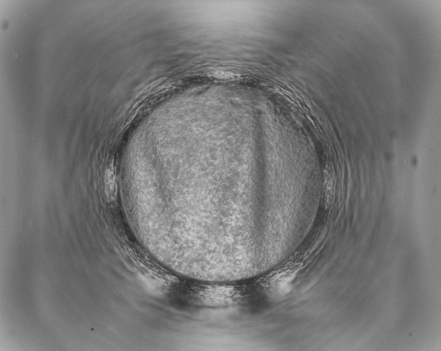 X0000087020609200704301316