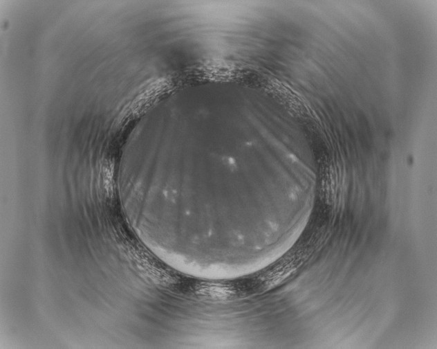 X0000087020610200704301316