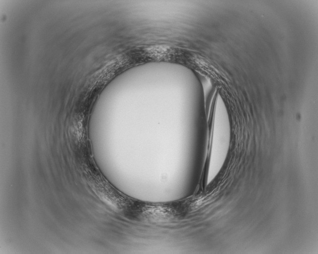 X0000087020611200704301316