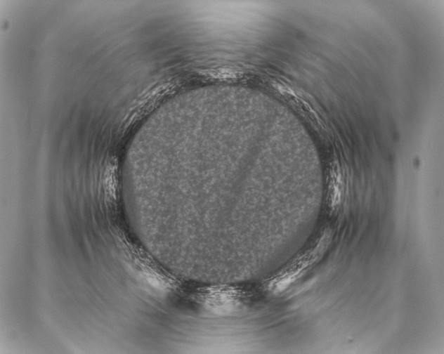 X0000087020612200704301316