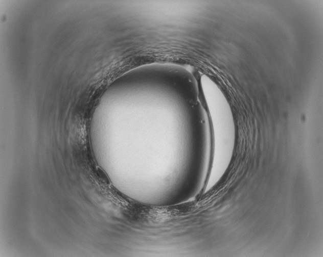 X0000087020613200704301316