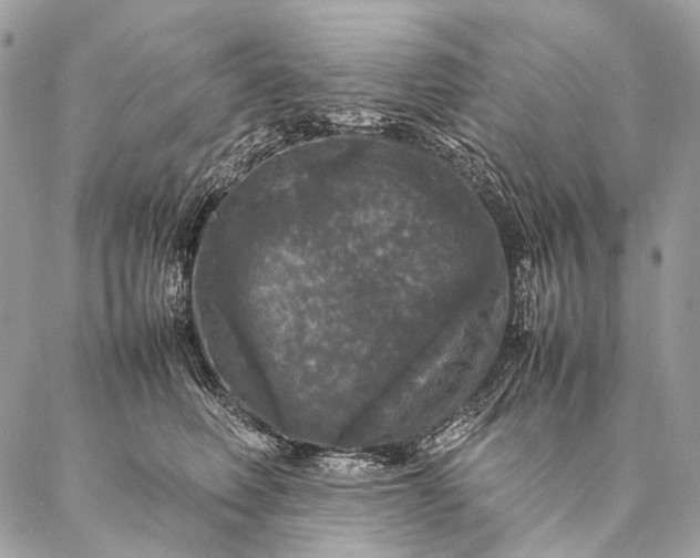 X0000087020614200704301316