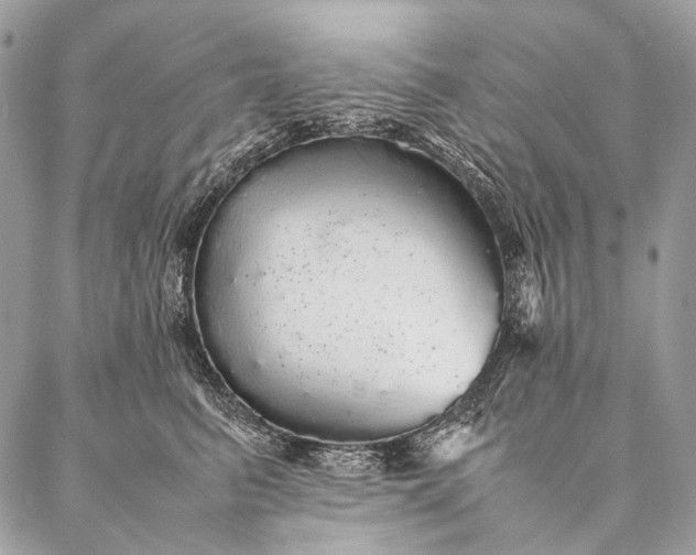 X0000087020615200704301316