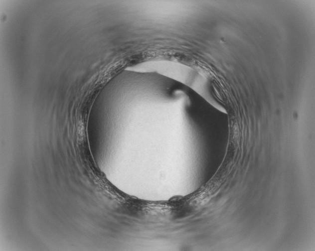 X0000087020617200704301316