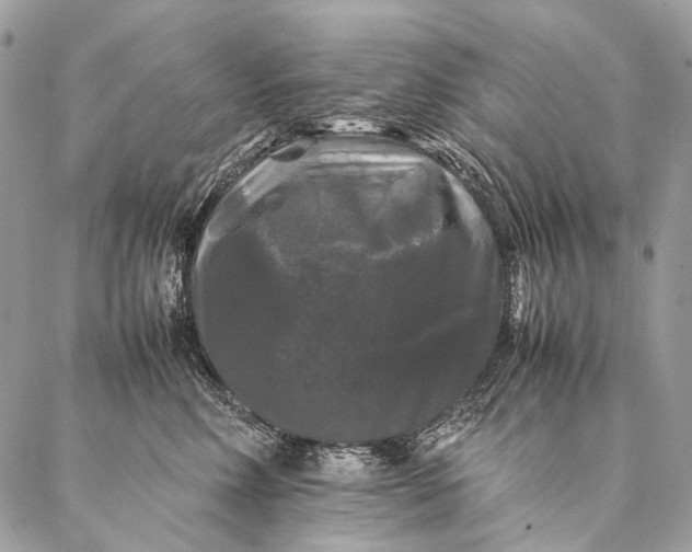 X0000087020618200704301316