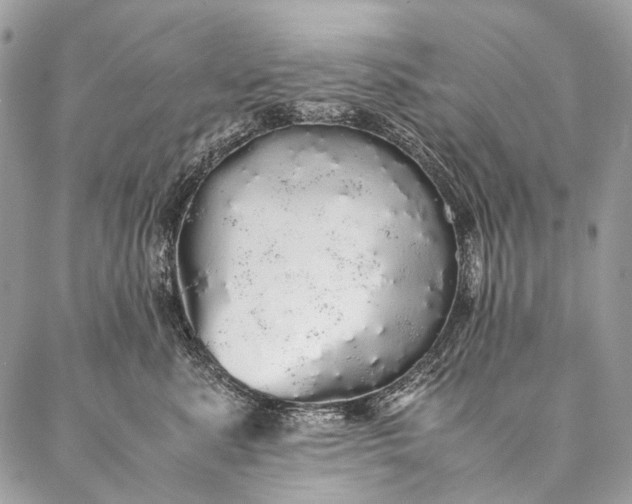 X0000087020619200704301316