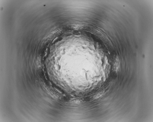 X0000087020620200704301316