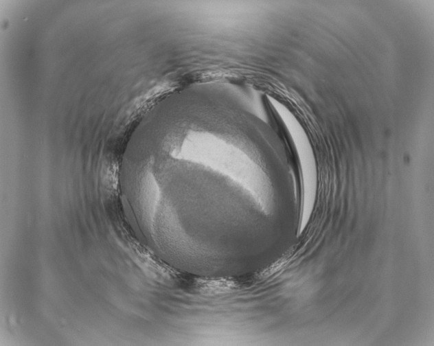 X0000087020621200704301316