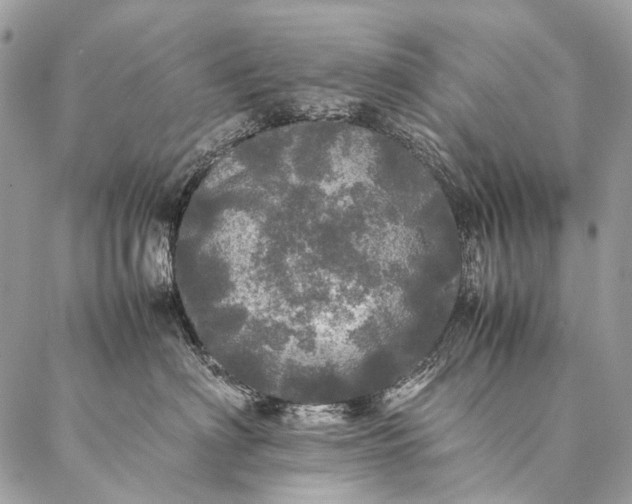 X0000087020622200704301316