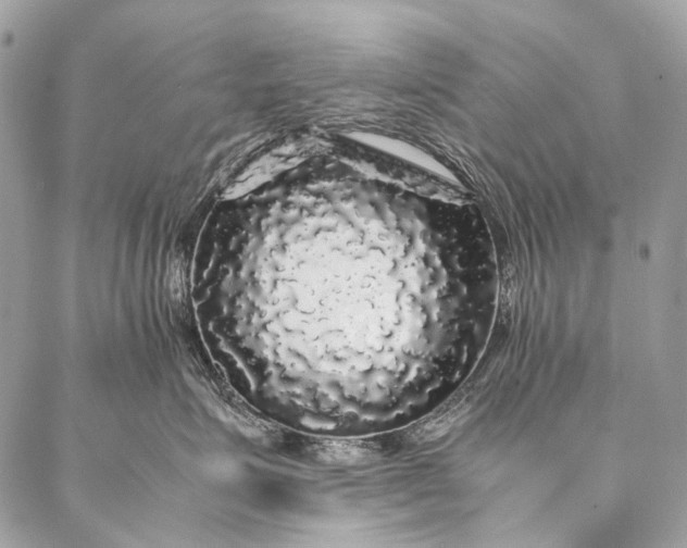 X0000087020623200704301316