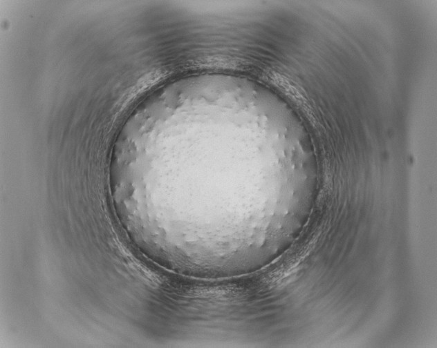 X0000087020625200704301315