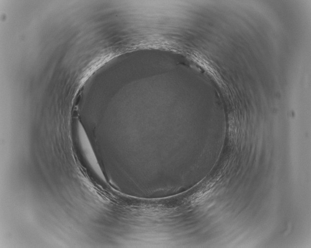 X0000087020626200704301315