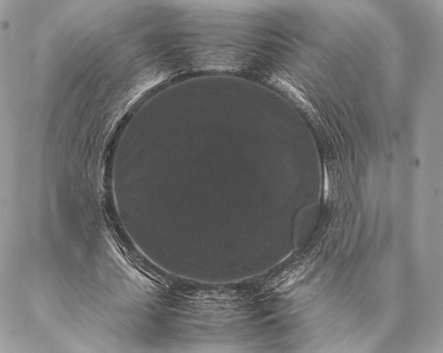 X0000087020627200704301315