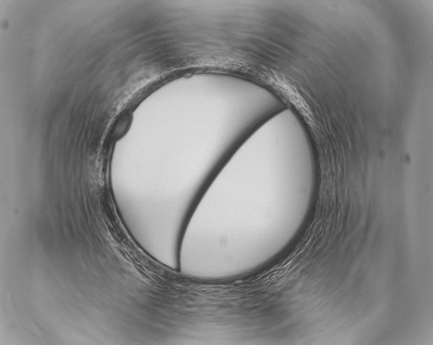 X0000087020628200704301315