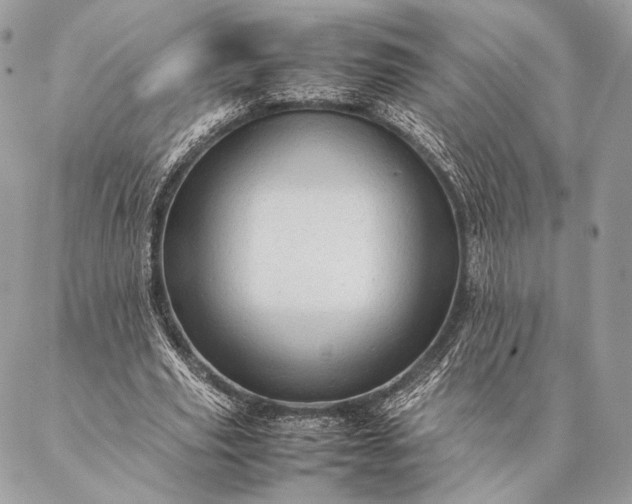 X0000087020629200704301315